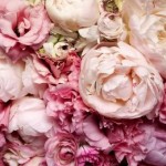 Wedding Decorators Toronto
