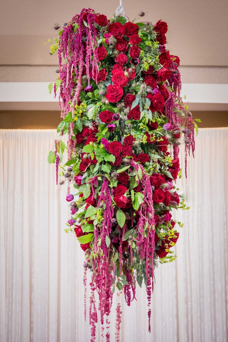 Hanging floral installation of red roses and trailing amaranthus at a mehndi party by GPS Decors