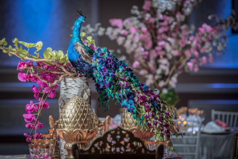 Centerpiece with a peacock figure, blue and pink orchids, blossom branches and gold pineapple accents.